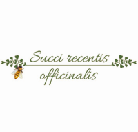 Logo succi