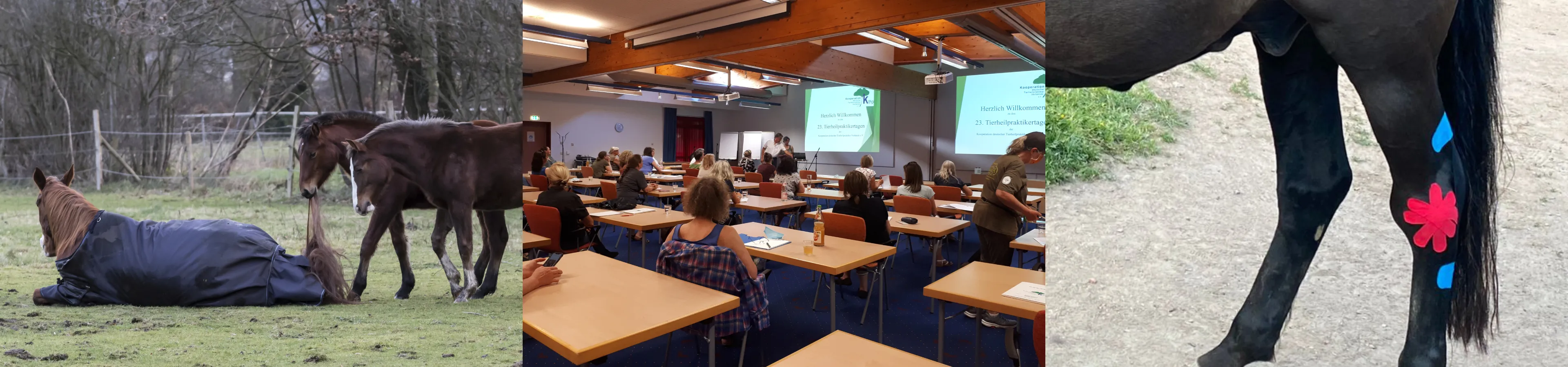 Tierheilpraktikertage