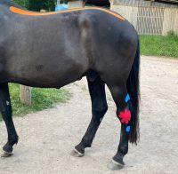 Fischer_Jessica_Tape_Ausschnitt