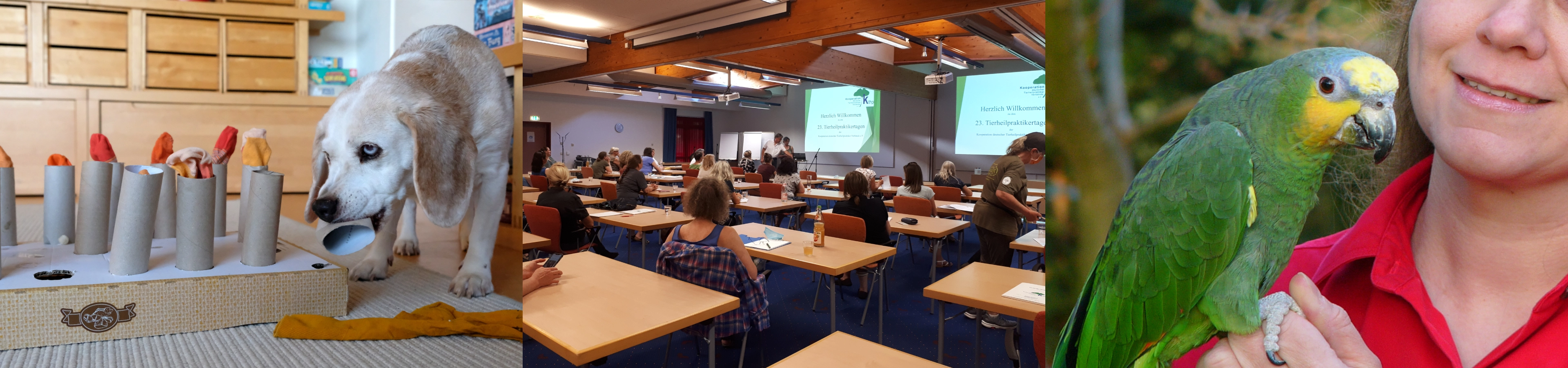 Tierheilpraktikertage